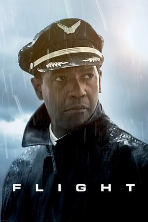 Flight (2012) Dual Audio | Dubbed Hindi Movie BluRay [1GB]
