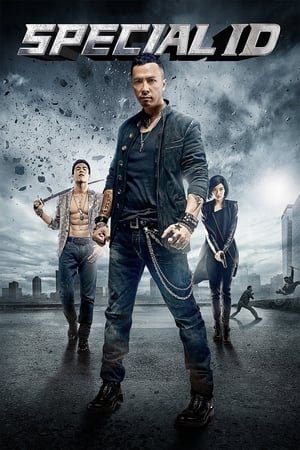 Special ID (2013) Dual Audio | Dubbed Hindi Movie BluRay 300MB ESubs
